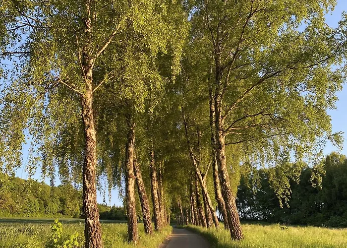 1 In Teutoburger Wald Nahe Externsteine Nieheim