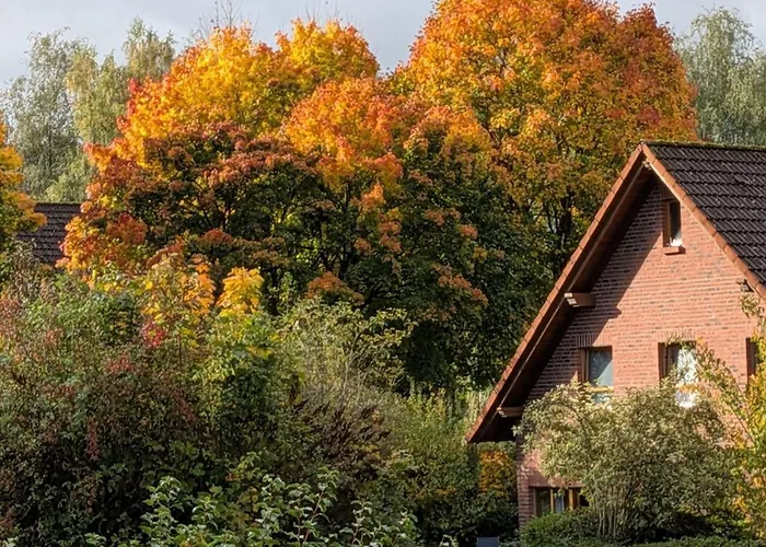 1 In Teutoburger Wald Nahe Externsteine Nieheim